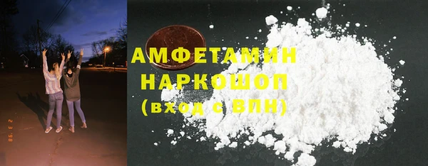 молекула духа Арсеньев