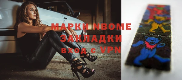 индика Аркадак