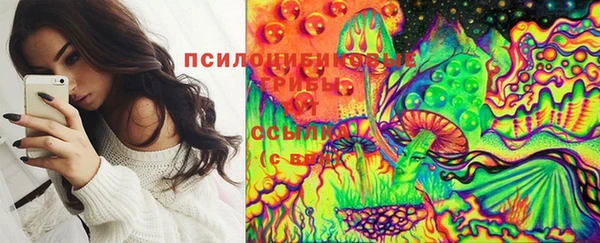 индика Аркадак