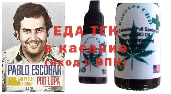 молекула духа Арсеньев