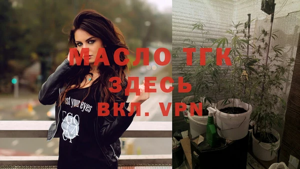 индика Аркадак