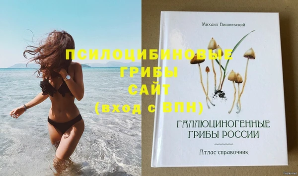 молекула духа Арсеньев