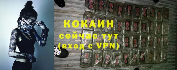 молекула духа Арсеньев