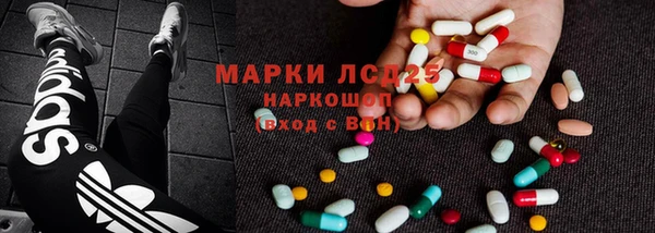индика Аркадак