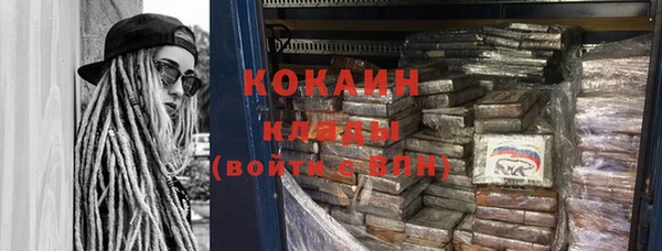 индика Аркадак