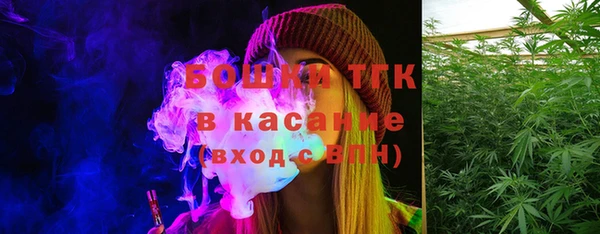 молекула духа Арсеньев