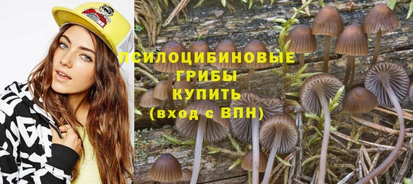 индика Аркадак