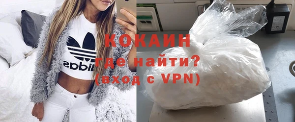 молекула духа Арсеньев
