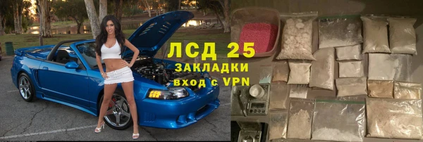 индика Аркадак