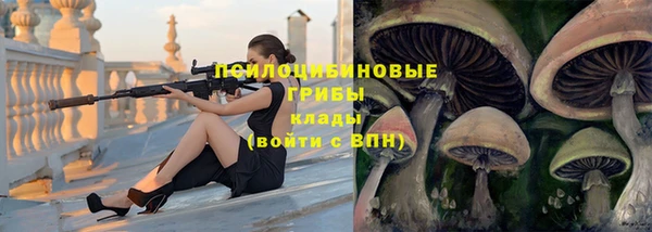индика Аркадак