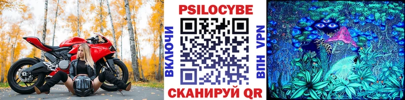купить Шилка Галлюциногенные грибы мухоморы